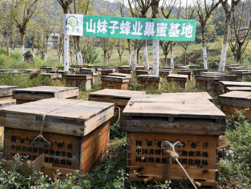 山妹子蜂业巢蜜基地